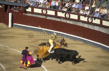 Picador et taureau pendant une corrida Espagne