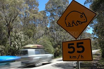 Wegweiser der Geschwindigkeitsbegrenzung zum Schutz von Wombats Australia