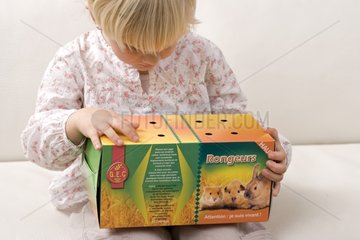 Child opening a box containing a rodent France
