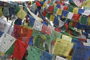 Gebetsflaggen in Bergen des Himalaya Ladakh India