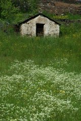 Shed of Ardèche