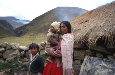 Bolivianische Lamas langweilt und seine Kinder Bolivien