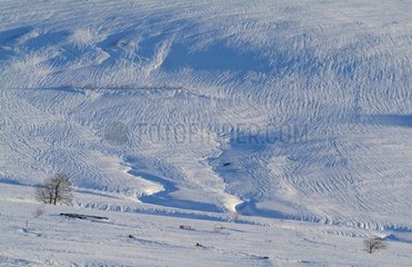 Expanse of snow on Mezenc plateau Haute-Loire France