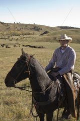 Cowboy Josh Shoemaker at Bison Roundup Custer State Park