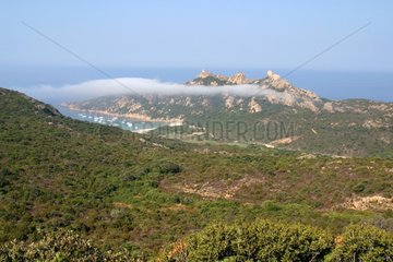 Roccapina Bay Sarten Korsika Frankreich