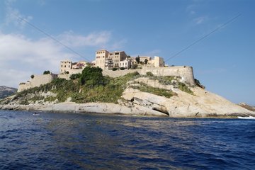 Citadel overlooking the bay at the gates of Calvi Corsican