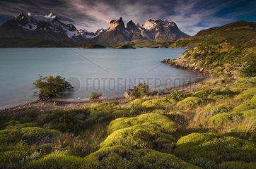Sunset over the Cuernos del Paine Chile