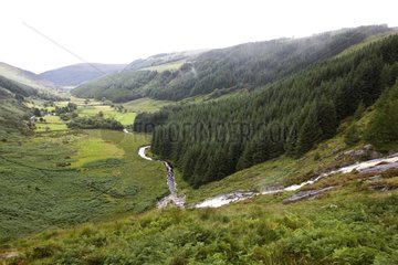 Valley in Wicklow Mountains National Park Ireland
