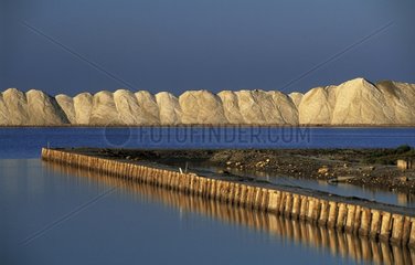 Dunes salt along the salt marshes France