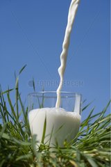 Filling of glass of milk in the grass France