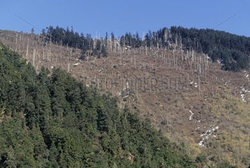 Deforestation in mountain Nepal