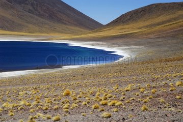 Laguna Miniques Road Paso de Sico Atacama Chili