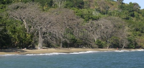 Plage de N'Gouja à Mayotte