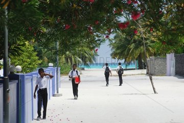 Island of Hanimaadhoo in the archipelago of Maldives