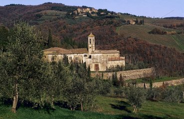 Paysage du Chianti avec oliviers et vigne
