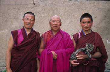 Tibet Gutter und Mönche Katze