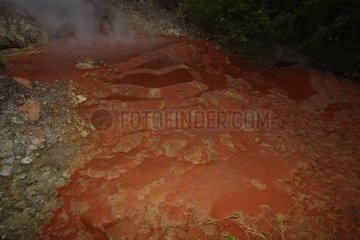 Pond mud bubbling Bukit Barisan Selatan Sumatra