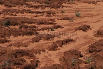 Sol en latérite et érosion du sol Saison sèche Australie