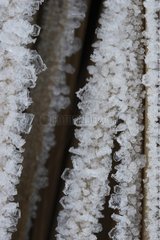 Eiskristalle auf Zweig im Winter Frankreich in nasser Meadow