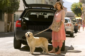 Hund Golden Retriever und seine Geliebte vor einem Auto