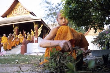 Young novice cleaning at the monastery of Luang Prabang Laos