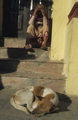 Hund schläft im Boden der Stufen einer Treppe Nepal