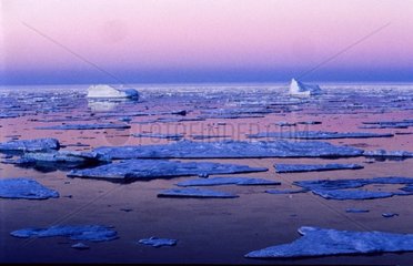 Breiter Estival-Eisbarrier der Küste von Liverpool Greenland [at]
