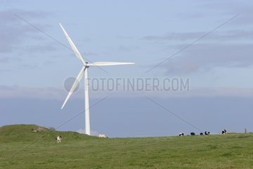 Wind turning in the middle of a meadow France