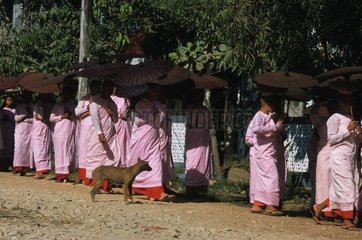Hund aussehender Pass von einer Gruppe von Burma -Nonnen