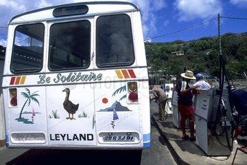 Bus decorated with a painting of Dodo Rodrigues Island