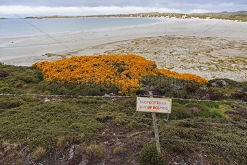 Panel warning for landmines - Port Stanley Falkland islands