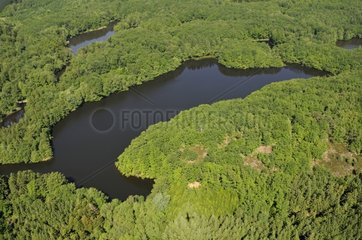 Pond and forest on the Mille Etangs Plateau Haute-Saône