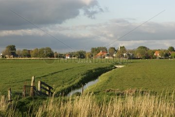 Village and channel in spring Ferwoude Netherlands
