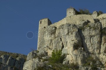 Château de la Roche-sur-le-Buis
