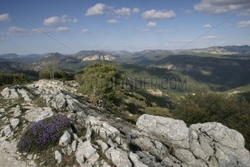 Panorama on Sierra de Cazorla Andalucia Spain