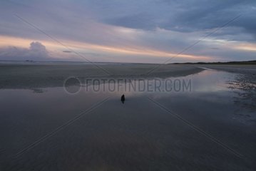 Beach at low tide on the Nacre Coast at sunrise