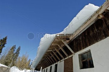 Grangiert gefrorener Schnee des Daches eines Schafs