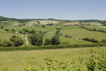 Agricultural landscape of Burgundy