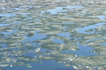 Eis auf Stanwell Fletcher Lake Somerset Island Nunavut