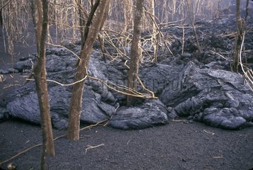 Coulée de lave du volcan Kimanura RD du Congo
