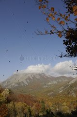 Herbstlandschaft im NP Abruzzo Italien