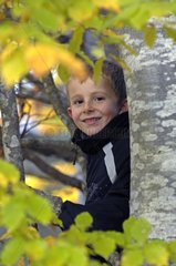 Young Boy in a tree in autumn