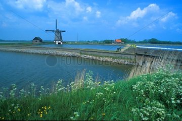 Windmühle auf einem Polder der Insel Texel Niederlande