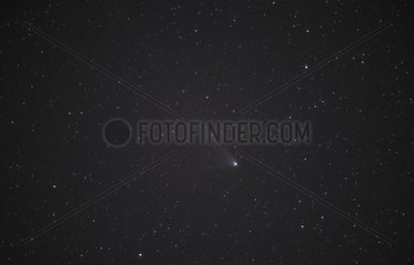 Comete 2001 Q4 ordentlich am Sternenhimmel