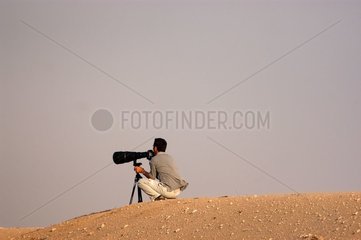 Tierfotograf Emirates Arabic United