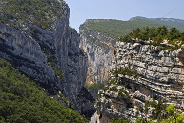 Verdon Gorges from the Point Sublime France