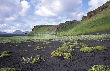 Vaste étendue de sable basaltique Myrdalssandur Islande