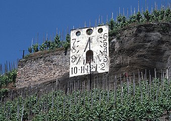 Sundial in the Vines in the Rhineland Palatinat