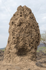 Old termite mound  Lake Magadi  Kenya