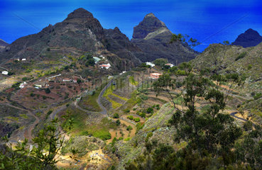 Farmhouse and terraced fields  Anaga massif  Island of Tenerife  Canary Islands.